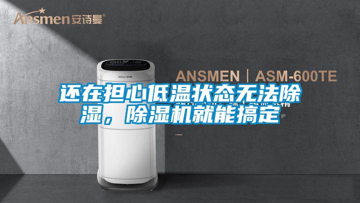 還在擔心低溫狀態無法除濕，除濕機就能搞定