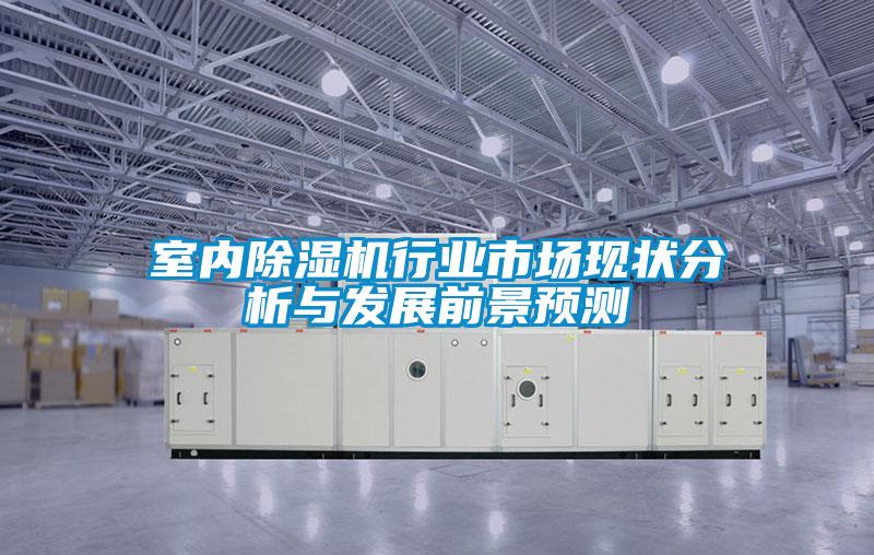 室內除濕機行業市場現狀分析與發展前景預測