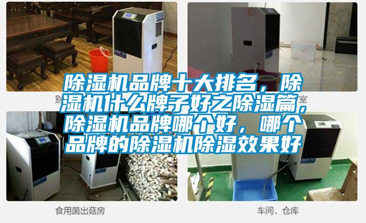除濕機品牌十大排名，除濕機什么牌子好之除濕篇，除濕機品牌哪個好，哪個品牌的除濕機除濕效果好