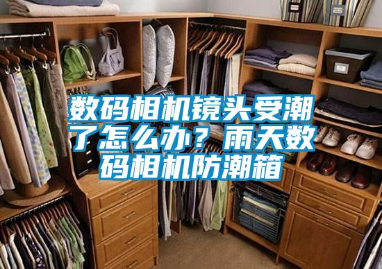 數碼相機鏡頭受潮了怎么辦?雨天數碼相機防潮箱