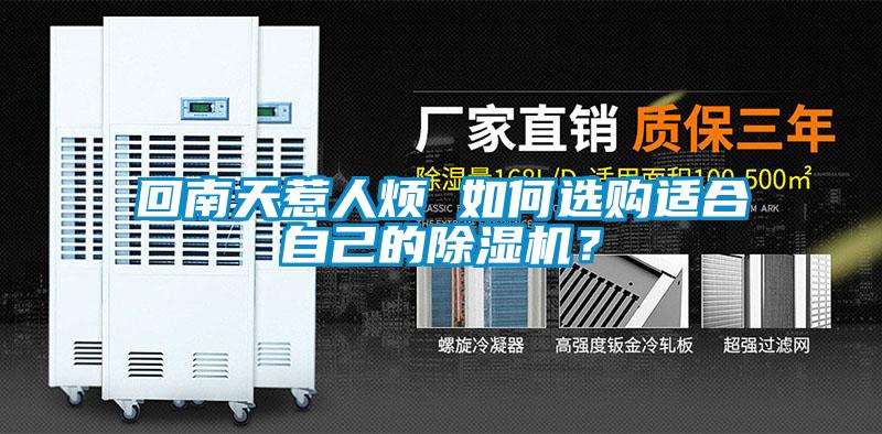 回南天惹人煩 如何選購適合自己的除濕機?