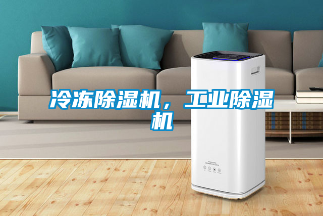 冷凍除濕機，工業除濕機