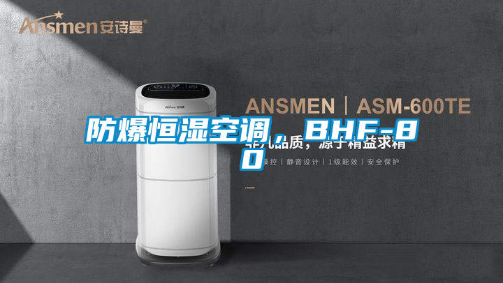 防爆恒濕空調(diào),BHF-80