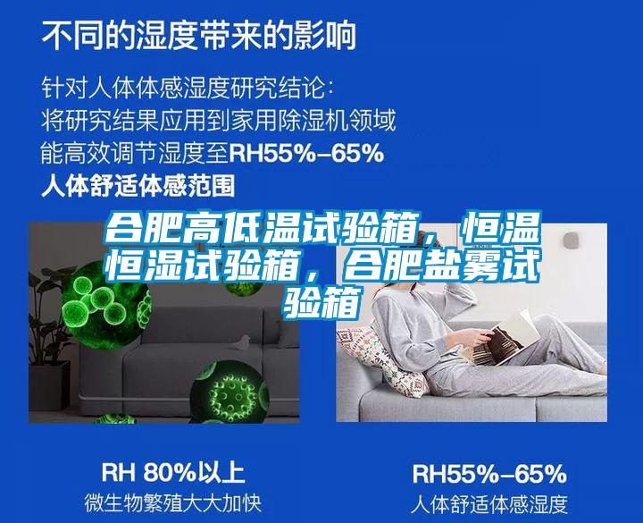 合肥高低溫試驗箱，恒溫恒濕試驗箱，合肥鹽霧試驗箱