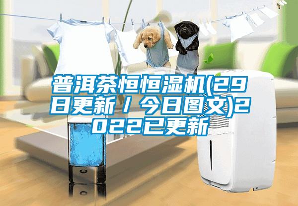 普洱茶恒恒濕機(jī)(29日更新/今日圖文)2022已更新