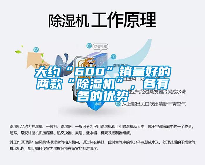 大約“600”銷量好的兩款“除濕機”,各有各的優勢