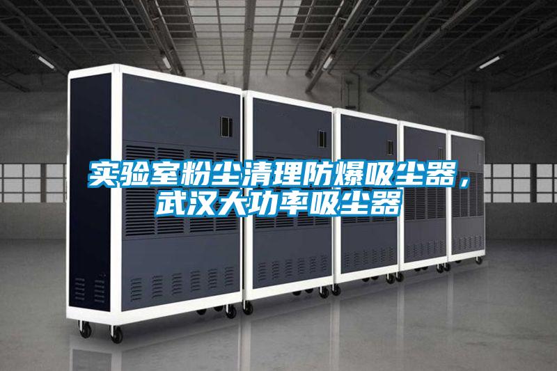 實驗室粉塵清理防爆吸塵器，武漢大功率吸塵器