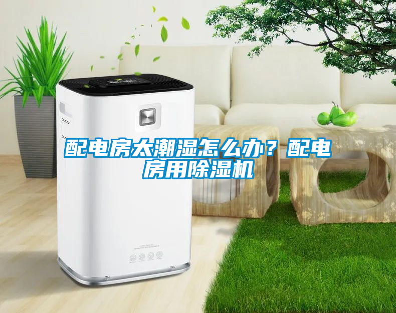 配電房太潮濕怎么辦?配電房用除濕機
