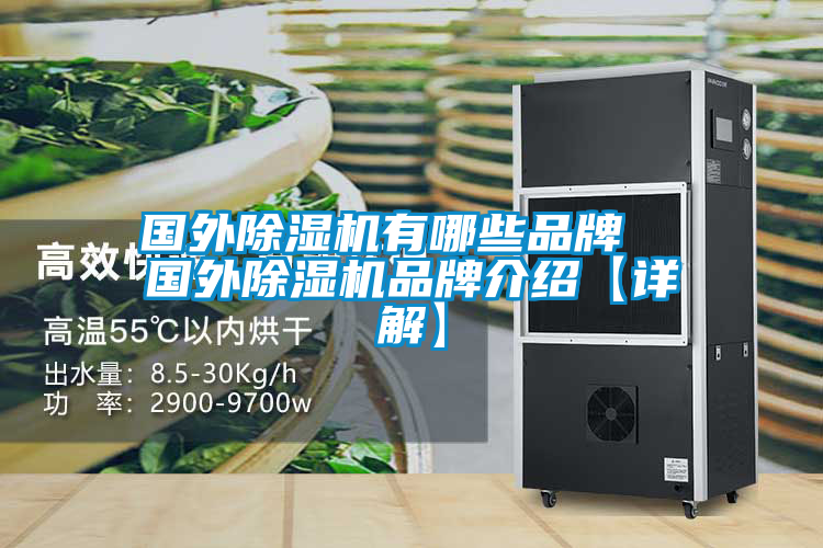 國外除濕機有哪些品牌 國外除濕機品牌介紹【詳解】