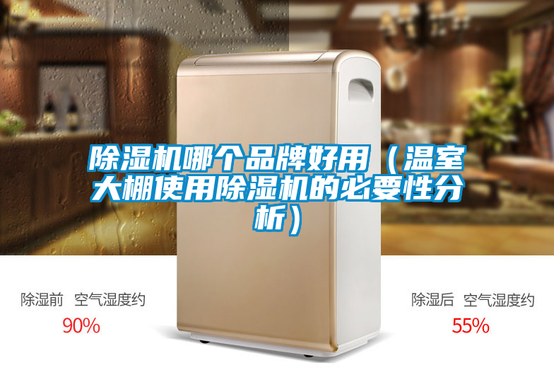 除濕機哪個品牌好用(溫室大棚使用除濕機的必要性分析)