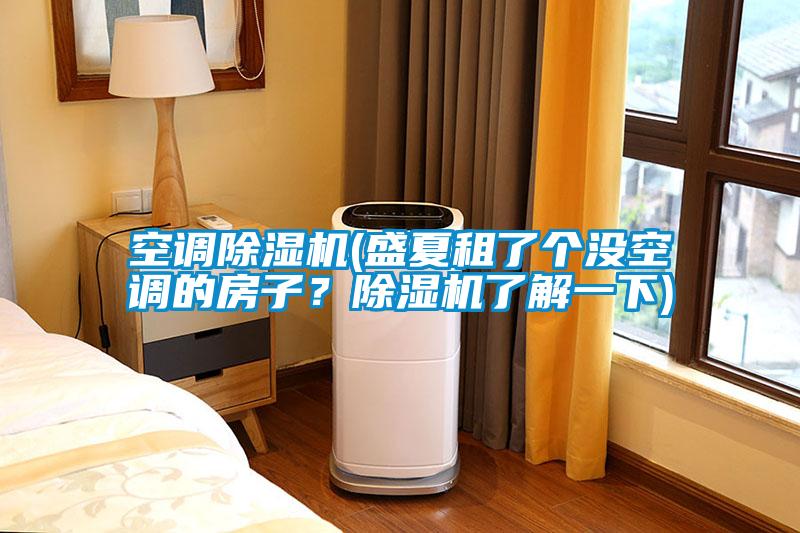 空調除濕機(盛夏租了個沒空調的房子？除濕機了解一下)