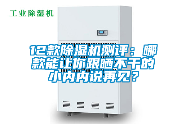 12款除濕機測評：哪款能讓你跟曬不干的小內內說再見？