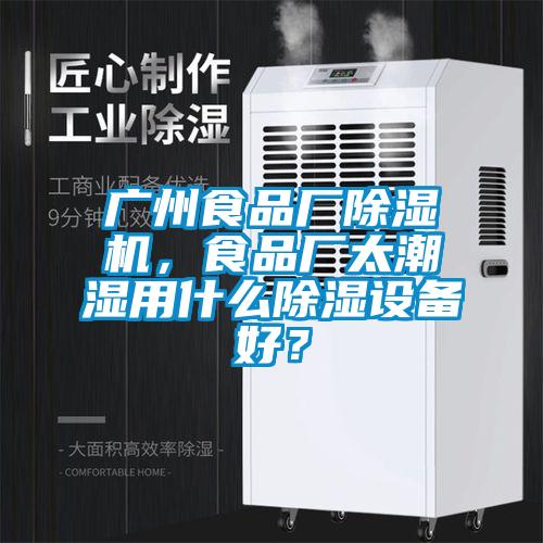 廣州食品廠除濕機,食品廠太潮濕用什么除濕設備好?