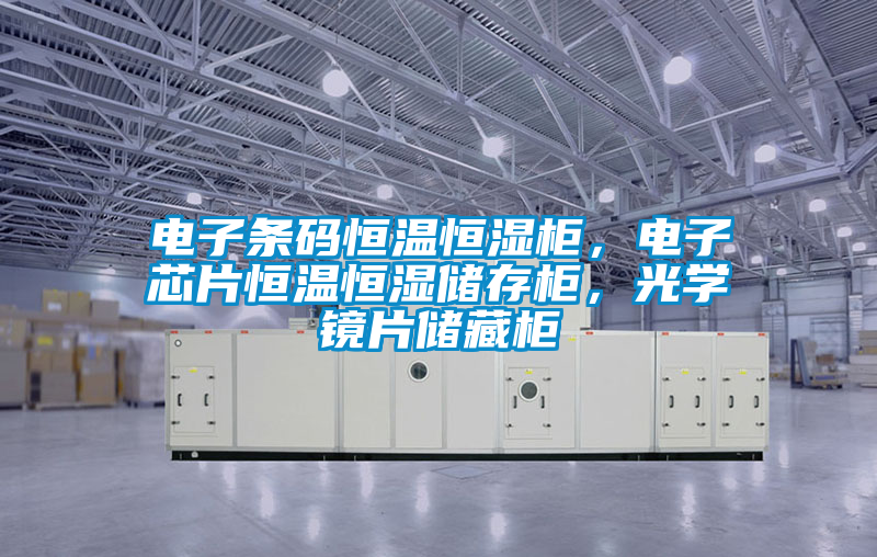 電子條碼恒溫恒濕柜，電子芯片恒溫恒濕儲存柜，光學鏡片儲藏柜