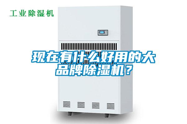 現(xiàn)在有什么好用的大品牌除濕機？