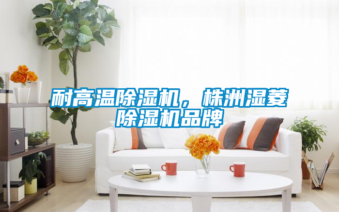 耐高溫除濕機,株洲濕菱除濕機品牌