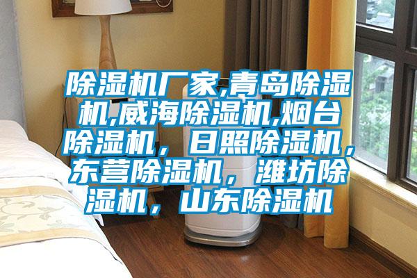 除濕機(jī)廠家,青島除濕機(jī),威海除濕機(jī),煙臺(tái)除濕機(jī)，日照除濕機(jī)，東營(yíng)除濕機(jī)，濰坊除濕機(jī)，山東除濕機(jī)