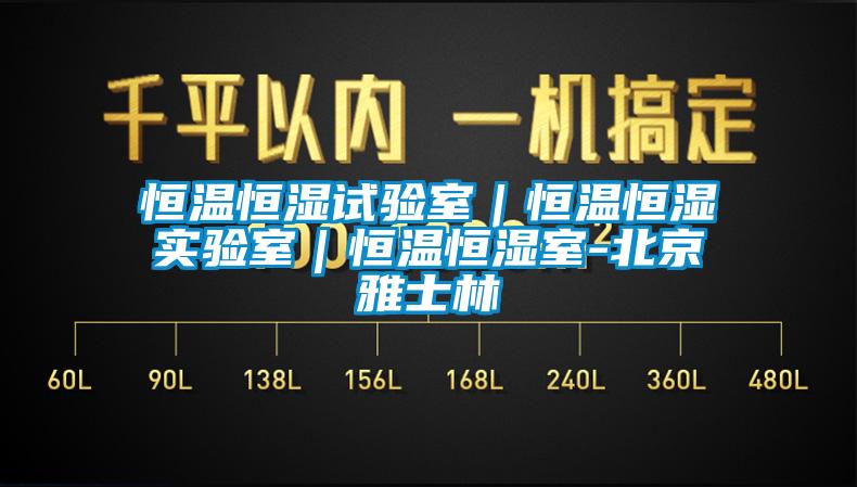恒溫恒濕試驗室|恒溫恒濕實驗室|恒溫恒濕室-北京雅士林