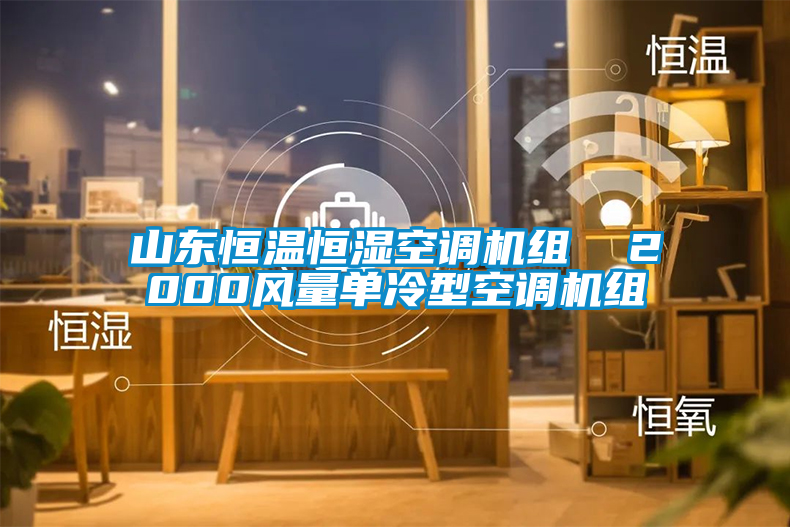 山東恒溫恒濕空調(diào)機(jī)組 2000風(fēng)量單冷型空調(diào)機(jī)組