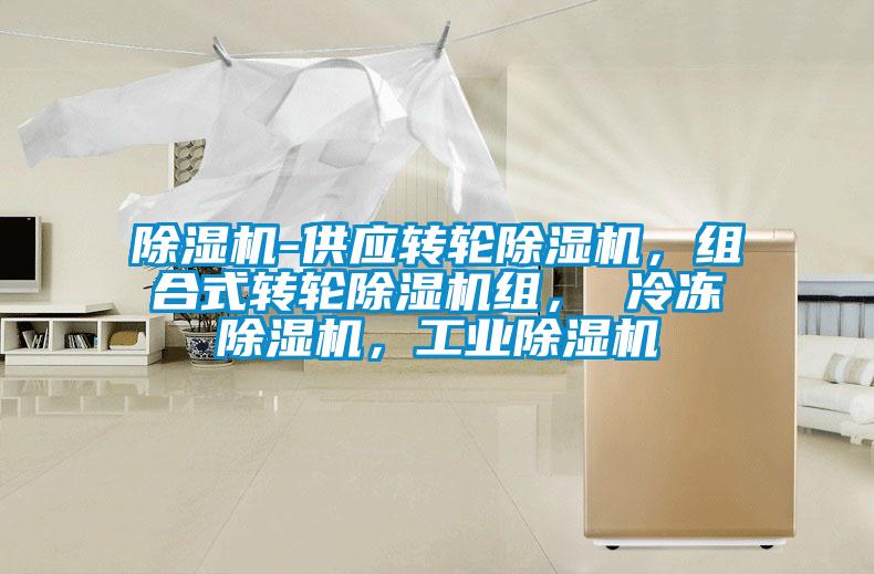 除濕機-供應(yīng)轉(zhuǎn)輪除濕機，組合式轉(zhuǎn)輪除濕機組， 冷凍除濕機，工業(yè)除濕機