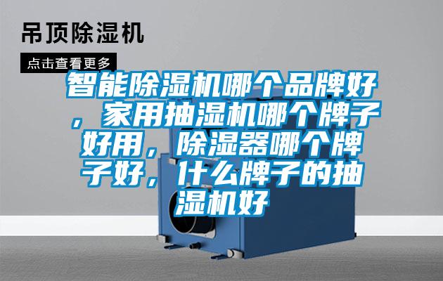 智能除濕機哪個品牌好，家用抽濕機哪個牌子好用，除濕器哪個牌子好，什么牌子的抽濕機好