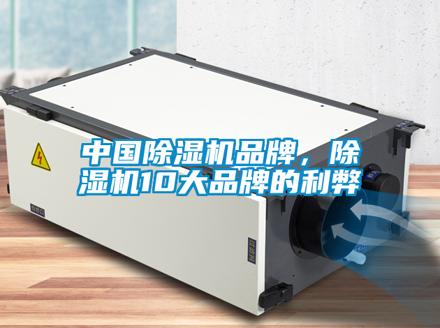 中國除濕機品牌，除濕機10大品牌的利弊