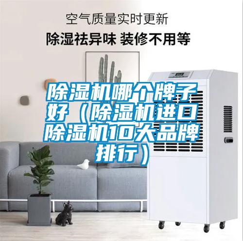 除濕機(jī)哪個(gè)牌子好(除濕機(jī)進(jìn)口除濕機(jī)10大品牌排行)