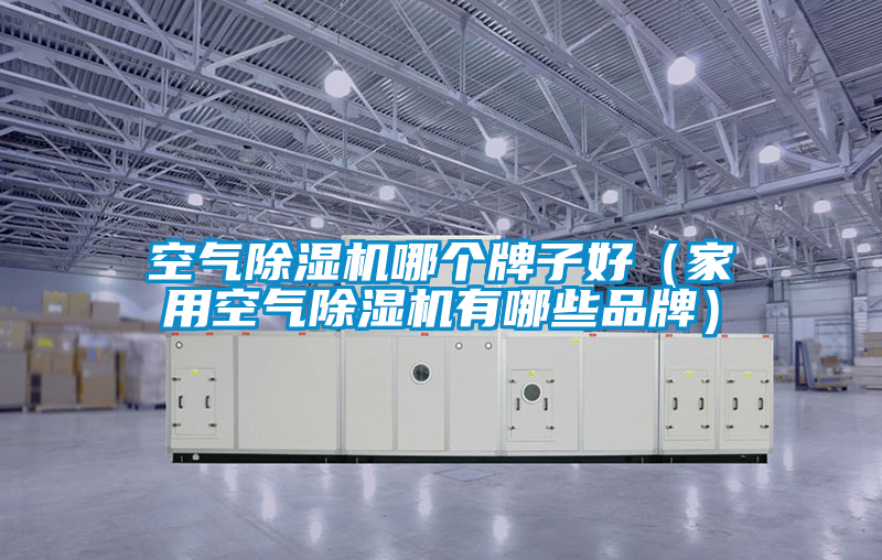 空氣除濕機哪個牌子好(家用空氣除濕機有哪些品牌)