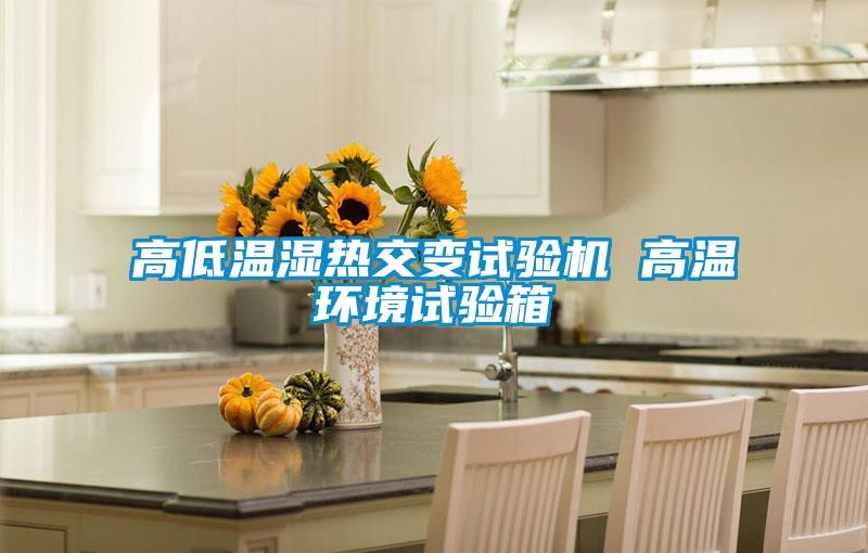 高低溫濕熱交變試驗(yàn)機(jī) 高溫環(huán)境試驗(yàn)箱