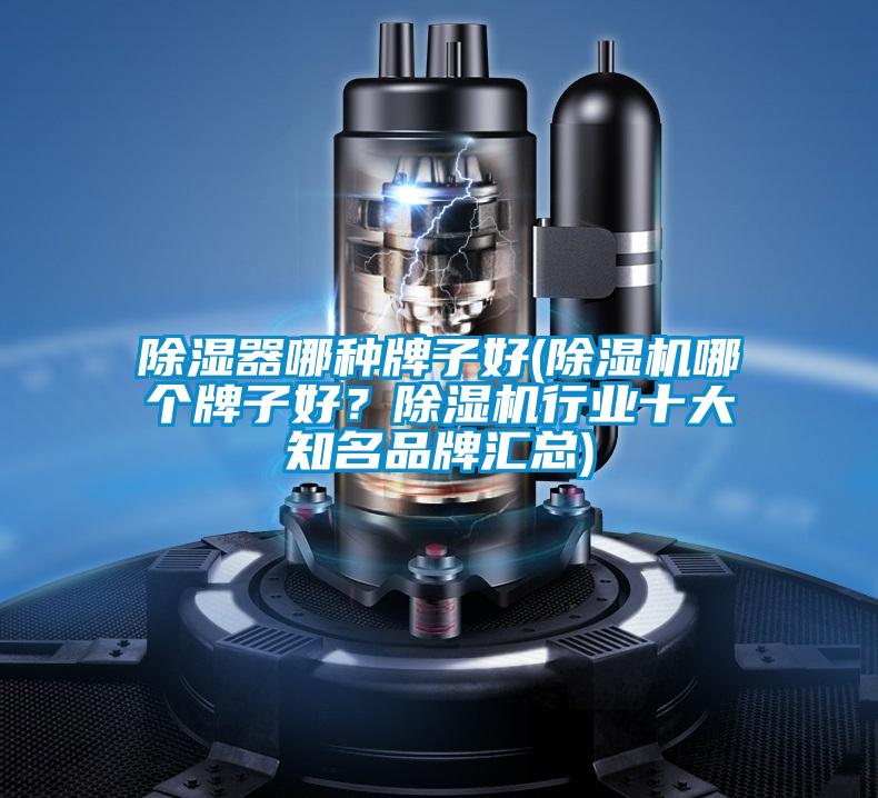 除濕器哪種牌子好(除濕機哪個牌子好？除濕機行業十大知名品牌匯總)
