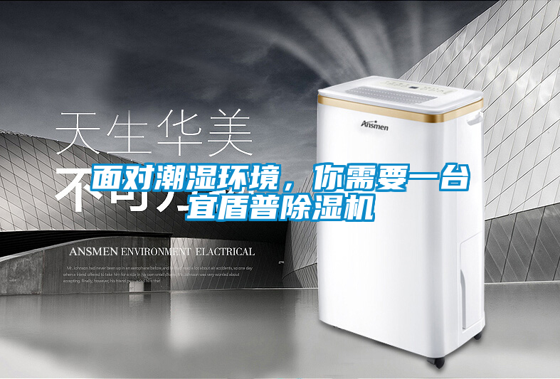 面對潮濕環(huán)境，你需要一臺宜盾普除濕機(jī)