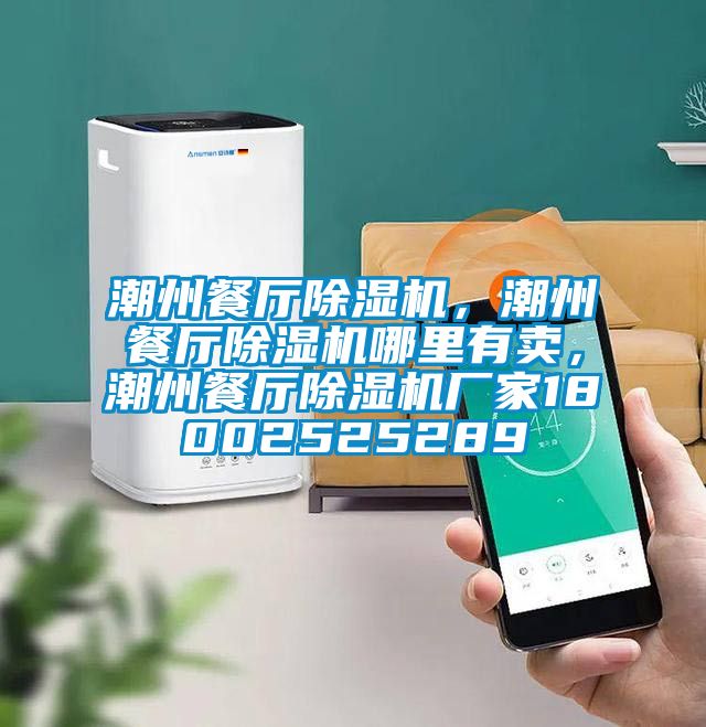 潮州餐廳除濕機(jī)，潮州餐廳除濕機(jī)哪里有賣(mài)，潮州餐廳除濕機(jī)廠家18002525289