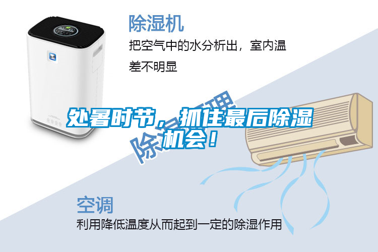 處暑時節(jié),抓住最后除濕機(jī)會!