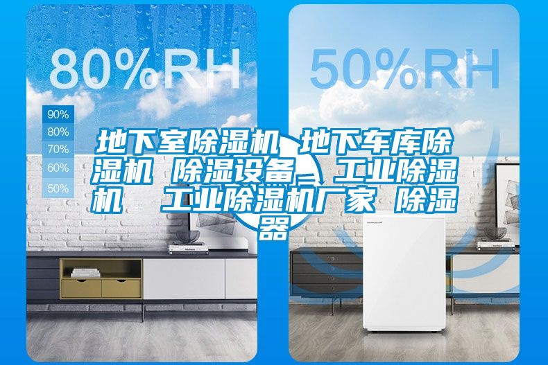 地下室除濕機 地下車庫除濕機 除濕設備 工業(yè)除濕機 工業(yè)除濕機廠家 除濕器
