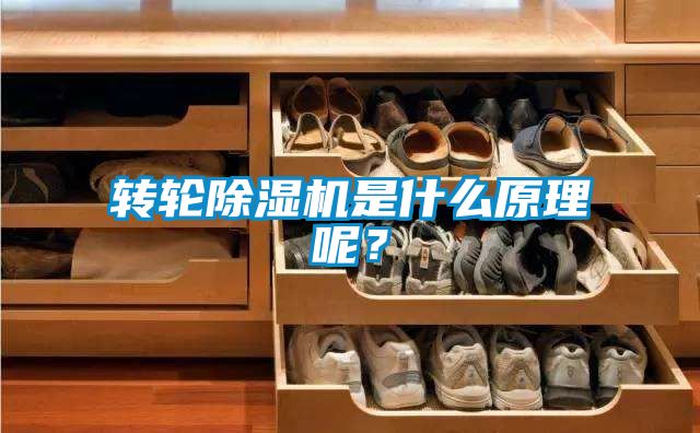 轉輪除濕機是什么原理呢?