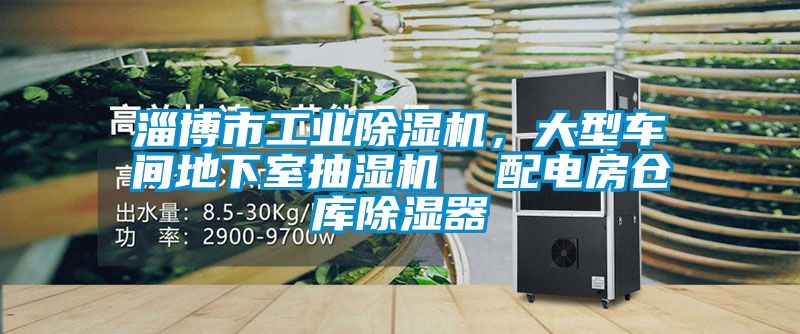 淄博市工業(yè)除濕機，大型車間地下室抽濕機  配電房倉庫除濕器