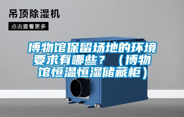 博物館保留場地的環境要求有哪些？（博物館恒溫恒濕儲藏柜）