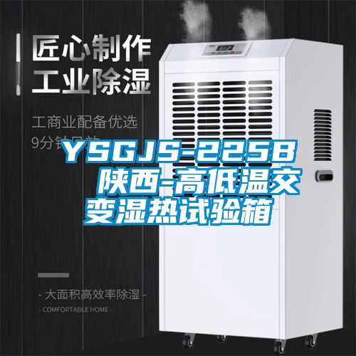 YSGJS-225B 陜西-高低溫交變濕熱試驗箱