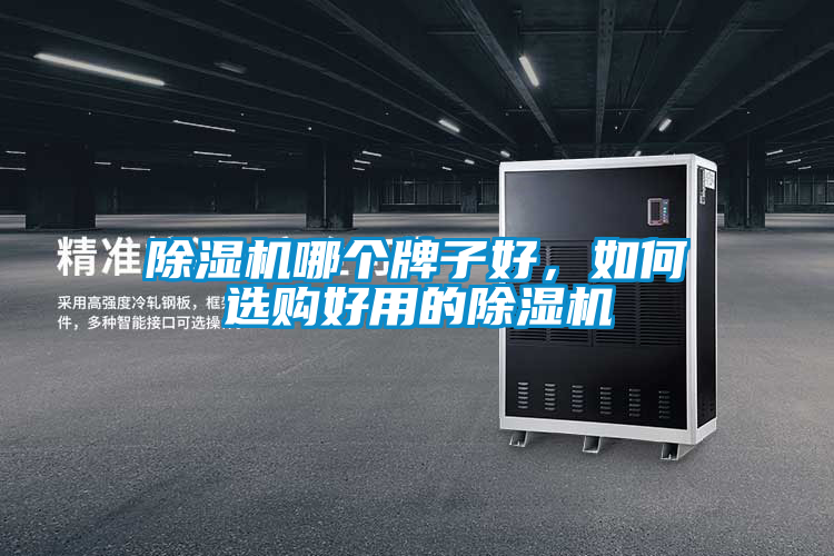 除濕機(jī)哪個(gè)牌子好，如何選購(gòu)好用的除濕機(jī)