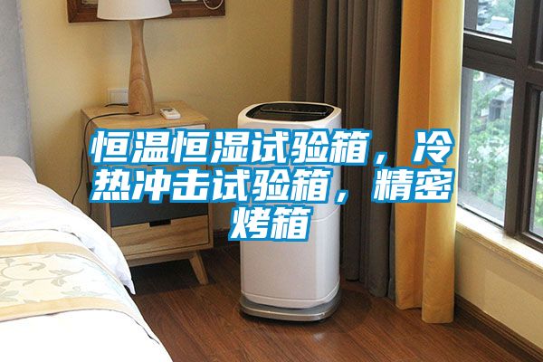 恒溫恒濕試驗箱,冷熱沖擊試驗箱,精密烤箱