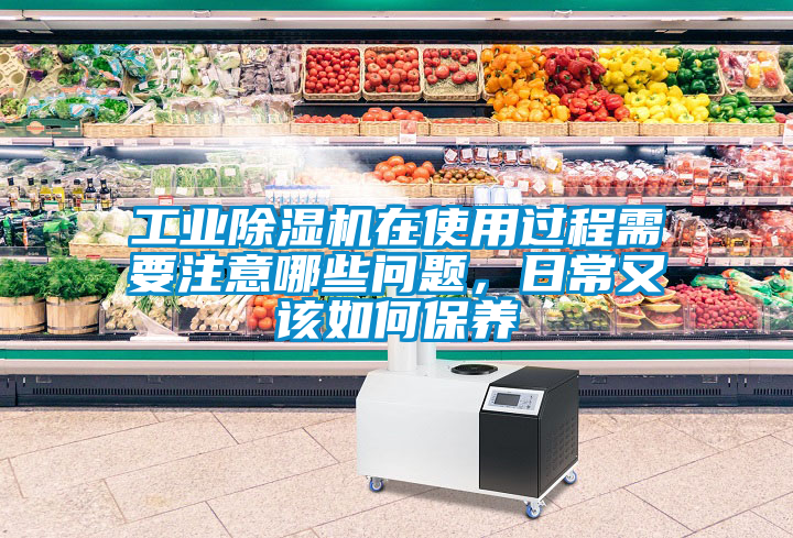 工業(yè)除濕機(jī)在使用過程需要注意哪些問題,日常又該如何保養(yǎng)