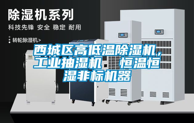 西城區高低溫除濕機，工業抽濕機  恒溫恒濕非標機器