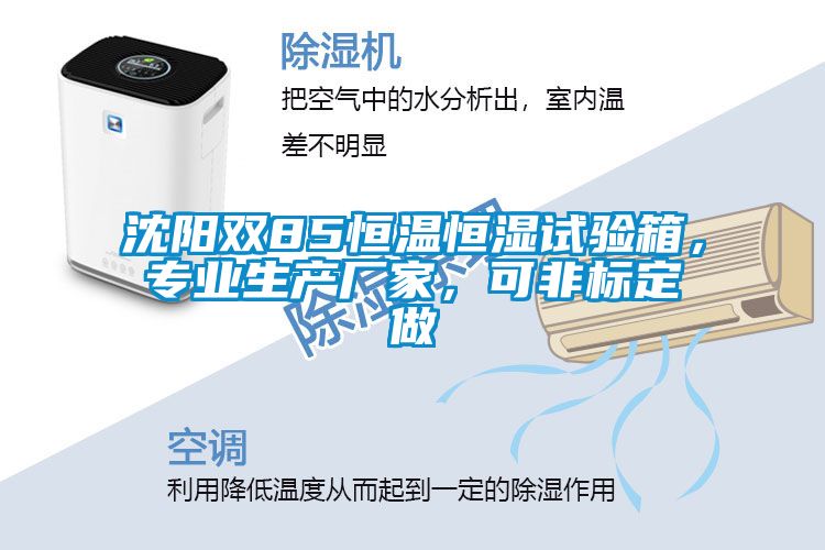 沈陽(yáng)雙85恒溫恒濕試驗(yàn)箱，專(zhuān)業(yè)生產(chǎn)廠家，可非標(biāo)定做