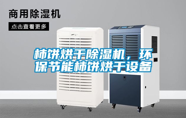 柿餅烘干除濕機(jī)，環(huán)保節(jié)能柿餅烘干設(shè)備