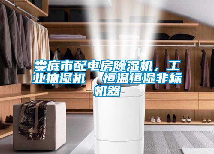 婁底市配電房除濕機，工業(yè)抽濕機  恒溫恒濕非標機器
