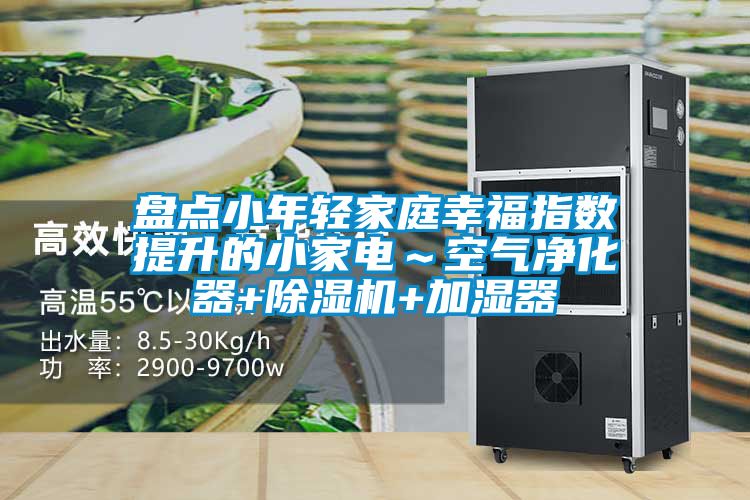 盤點小年輕家庭幸福指數提升的小家電~空氣凈化器+除濕機+加濕器