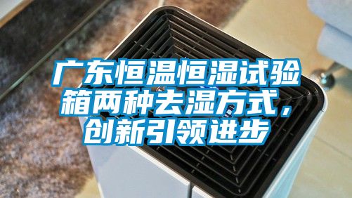廣東恒溫恒濕試驗箱兩種去濕方式,創新引領進步