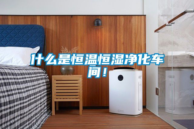 什么是恒溫恒濕凈化車間!