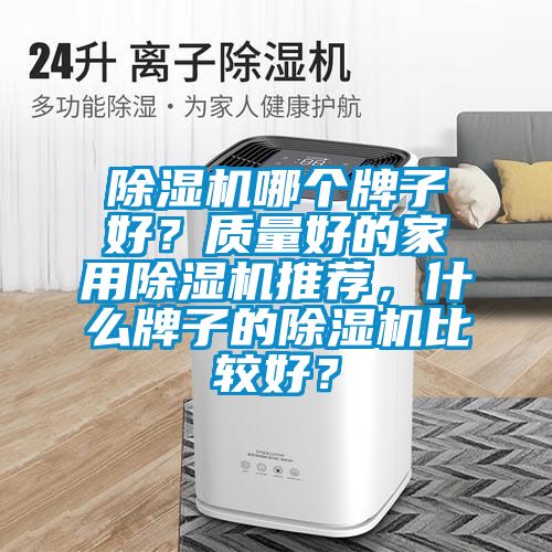 除濕機哪個牌子好？質量好的家用除濕機推薦，什么牌子的除濕機比較好？