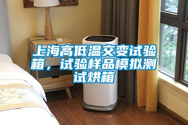 上海高低溫交變?cè)囼?yàn)箱,試驗(yàn)樣品模擬測(cè)試烘箱